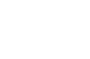 Birmingham Film Festival 2024 — Official Nomination