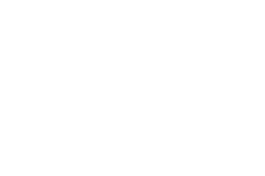 Vienna International Film Awards 2024 Official Selection