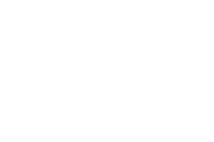 Waterford International Film Festival 2024 — Best Short Film Finalist